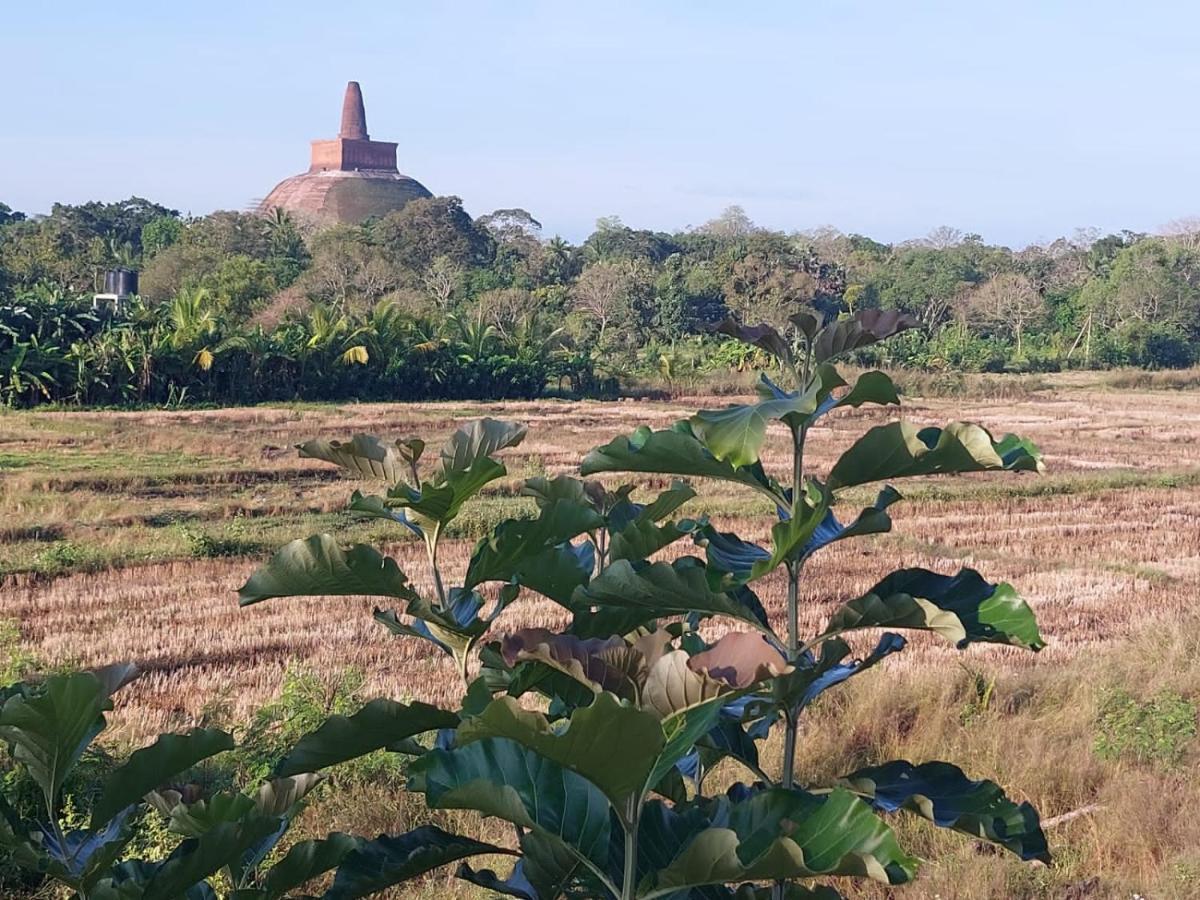 Green Shield Resort Anuradhapura Exteriör bild