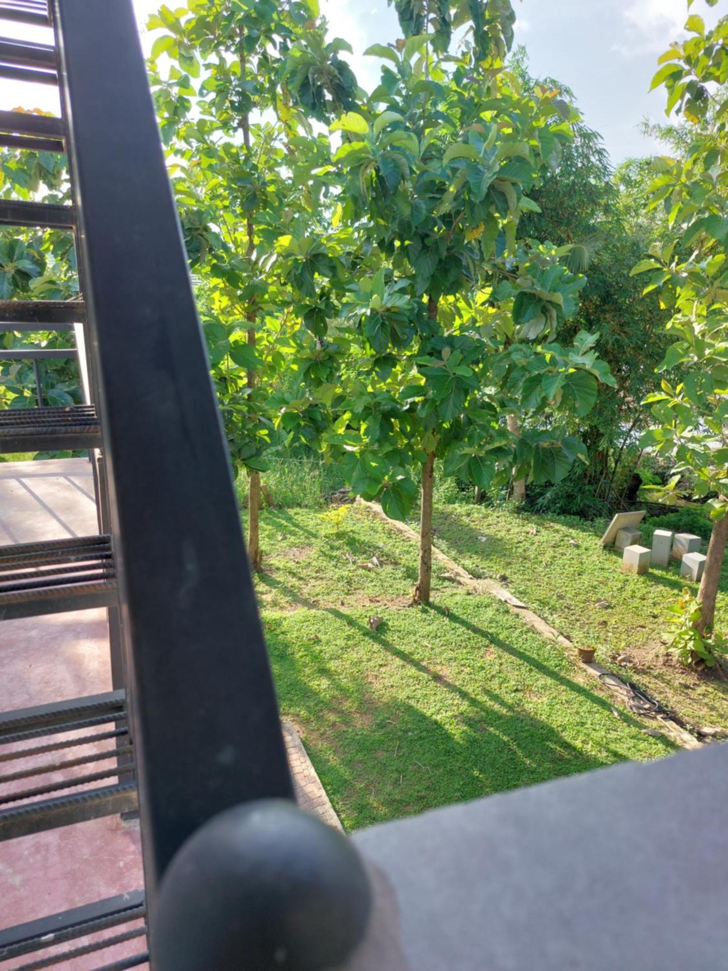 Green Shield Resort Anuradhapura Exteriör bild