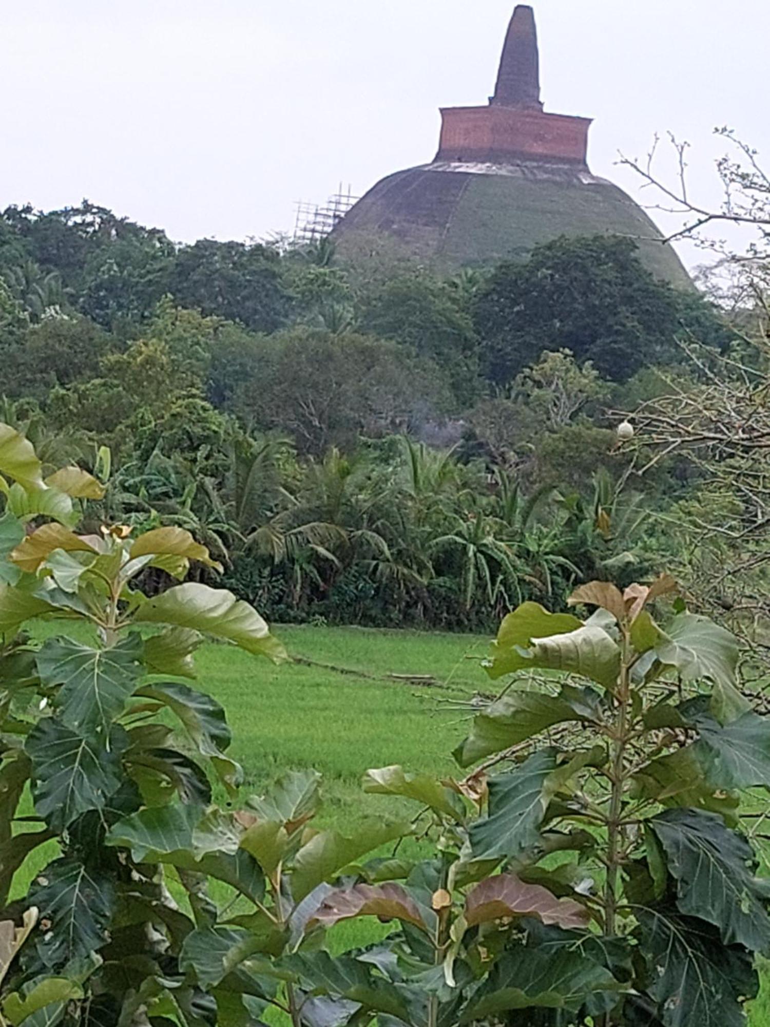 Green Shield Resort Anuradhapura Exteriör bild