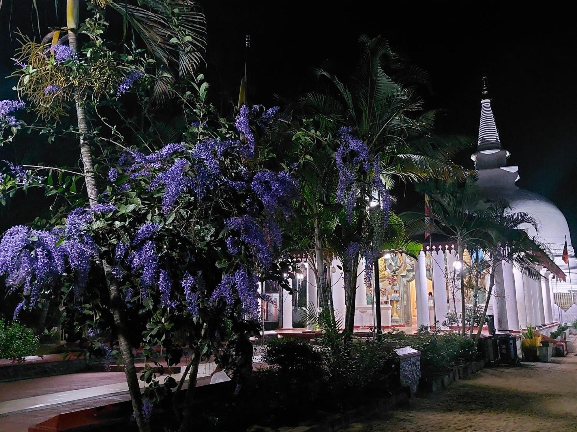 Green Shield Resort Anuradhapura Exteriör bild