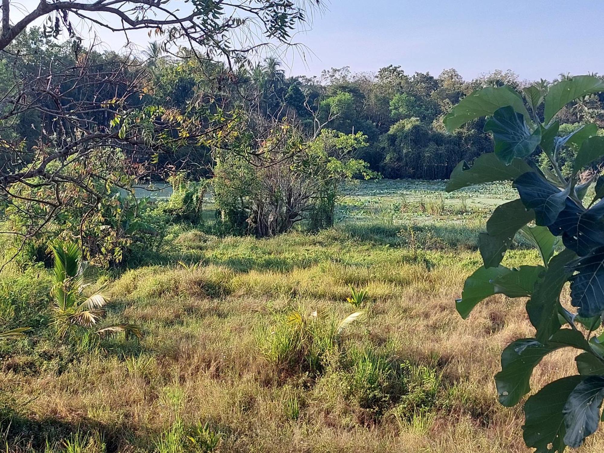 Green Shield Resort Anuradhapura Exteriör bild