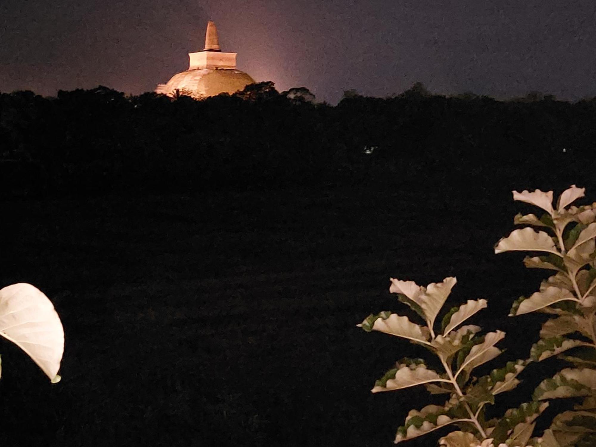 Green Shield Resort Anuradhapura Rum bild